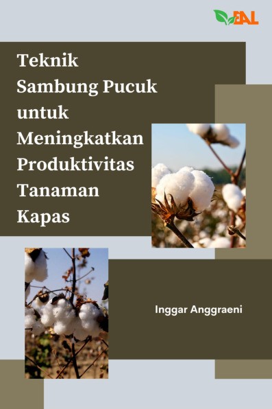 Teknik Sambung Pucuk untuk Meningkatkan Produktivitas Tanaman Kapas